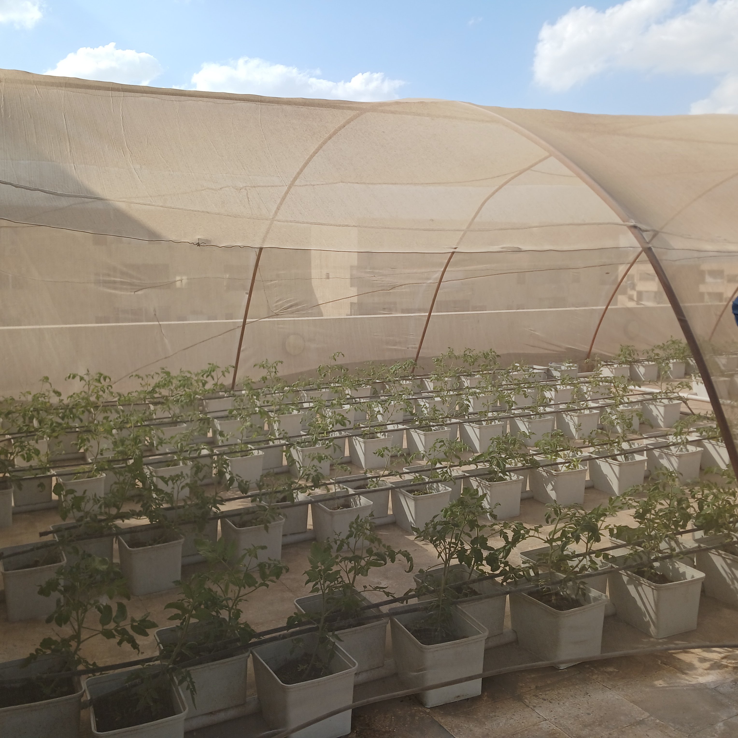 UK Partner Visit to Al-Asmarat District