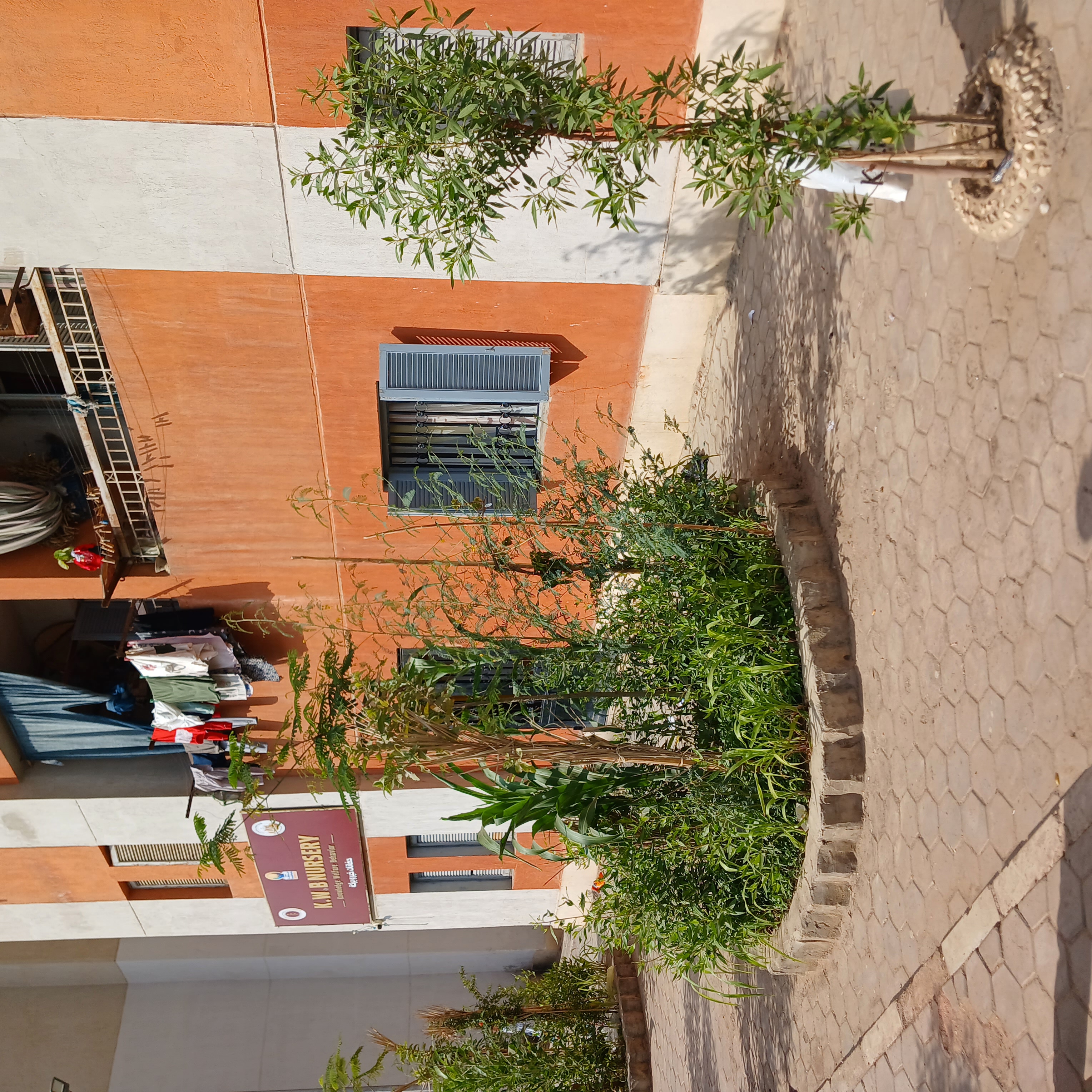 UK Partner Visit to Al-Asmarat District