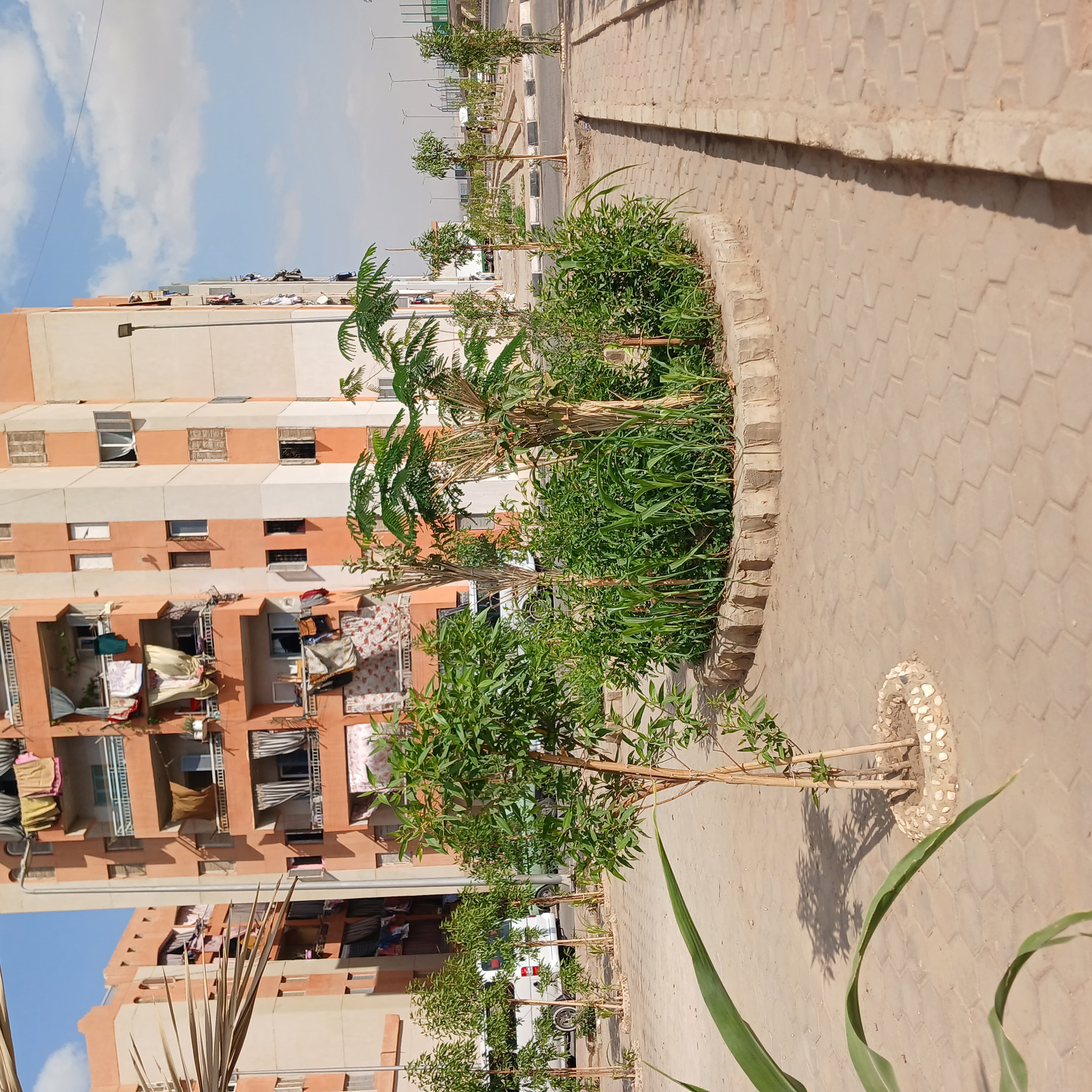UK Partner Visit to Al-Asmarat District